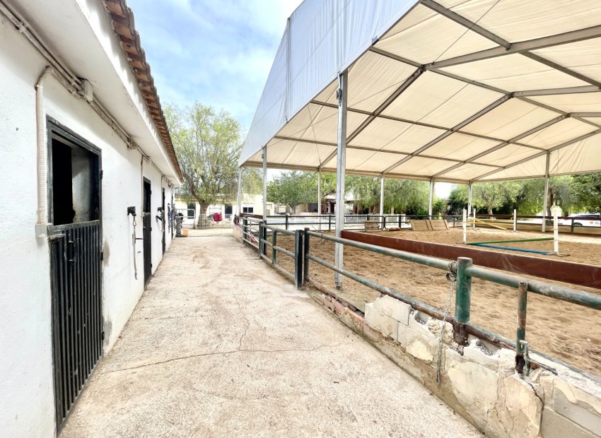 Revente - Finca / Maison Rurale - Orihuela
