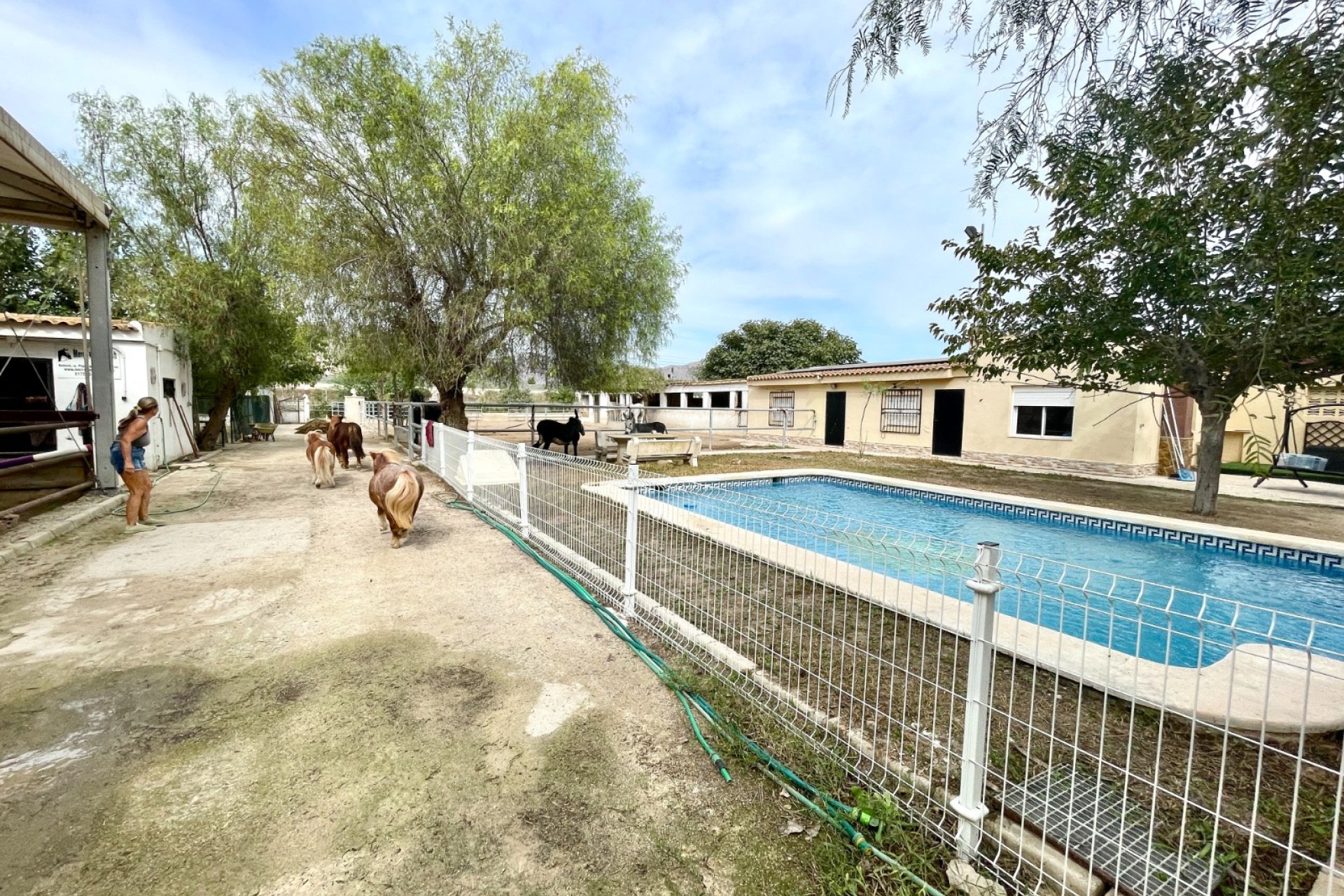 Revente - Finca / Maison Rurale - Orihuela
