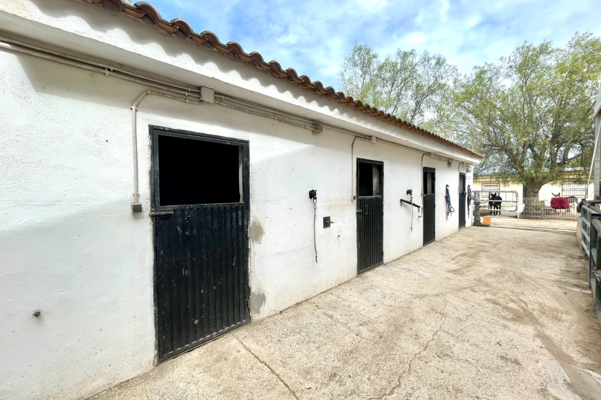 Revente - Finca / Maison Rurale - Orihuela