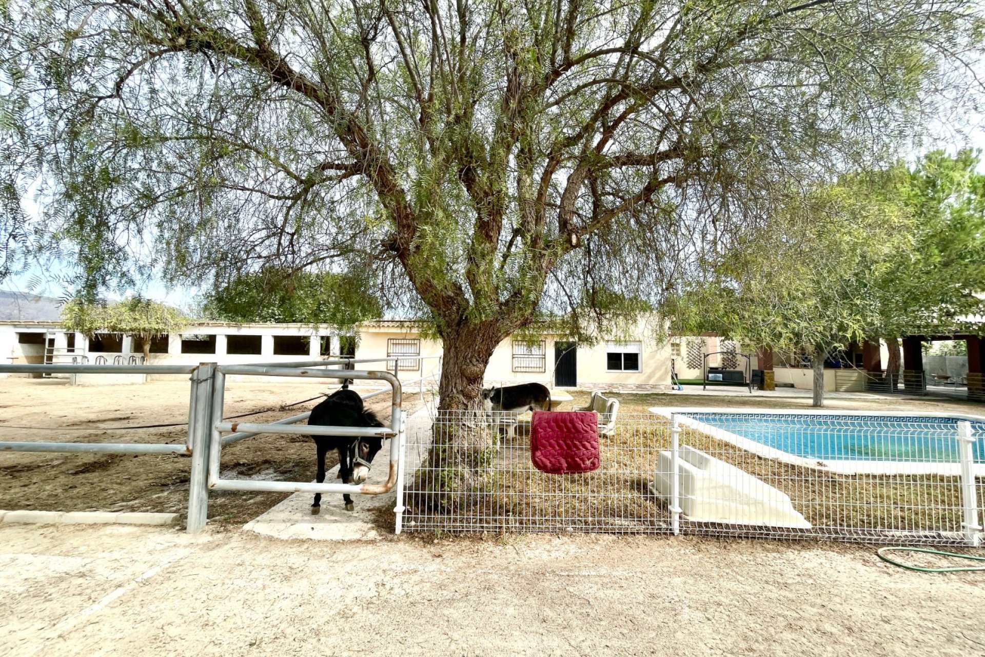 Revente - Finca / Maison Rurale - Orihuela