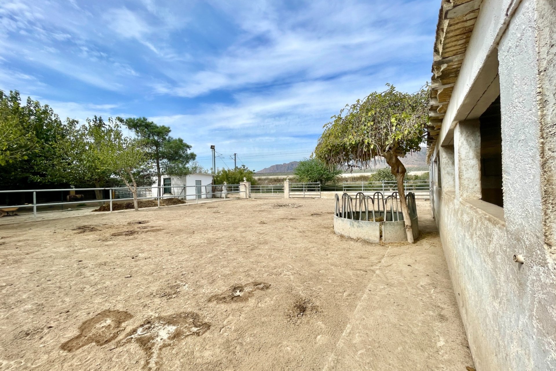 Revente - Finca / Maison Rurale - Orihuela