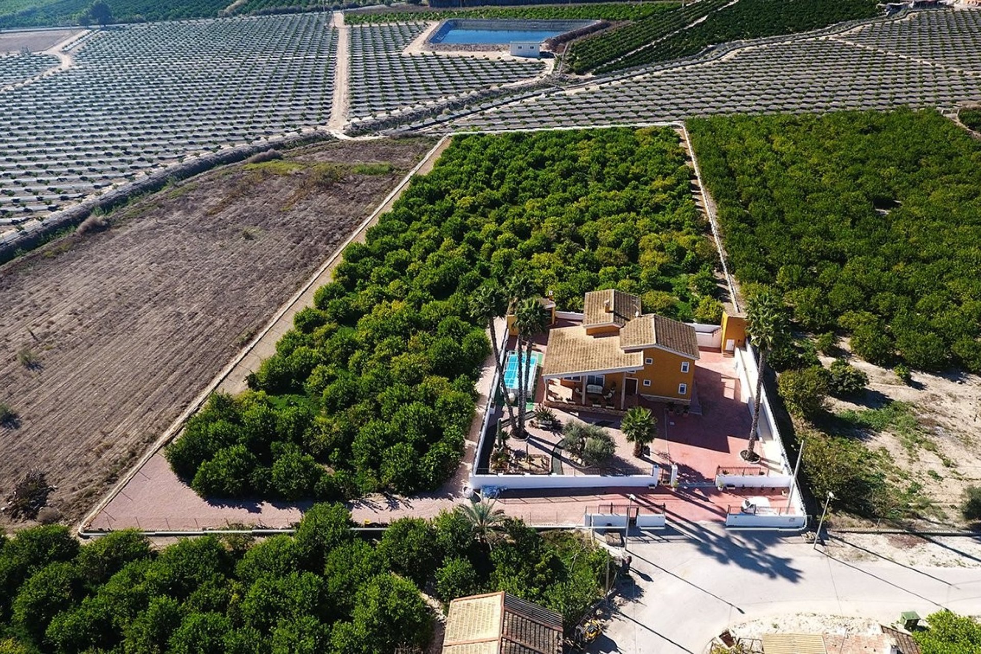 Revente - Finca / Maison Rurale - Orihuela