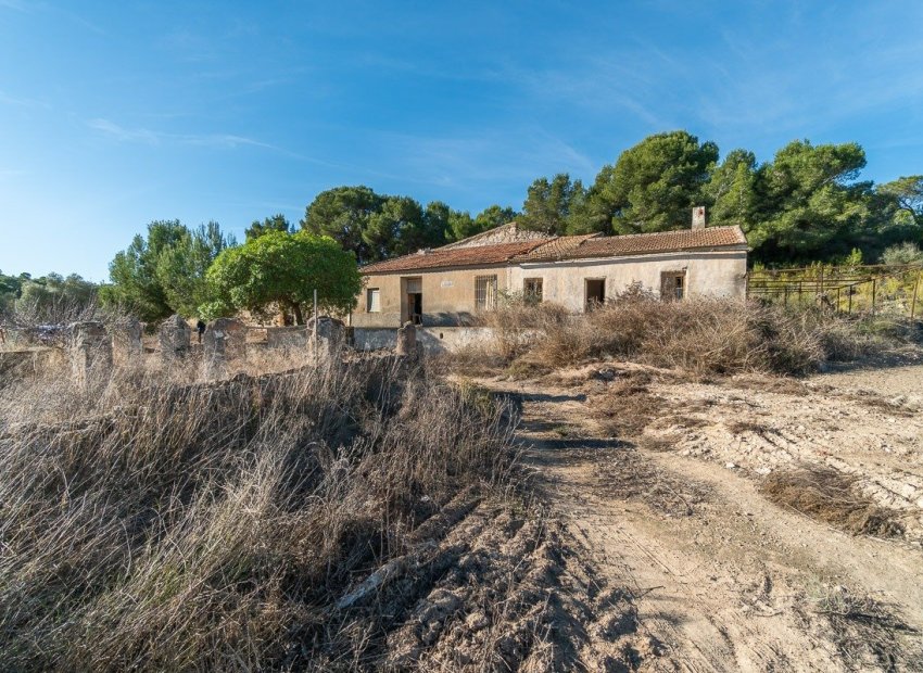 Revente - Finca / Maison Rurale - Pilar de la Horadada - Pinar de la Perdiz