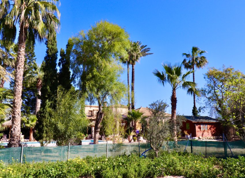 Revente - Finca / Maison Rurale - Rojales - Heredades