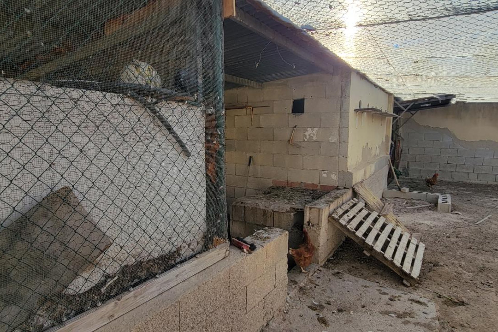 Revente - Finca / Maison Rurale - San Miguel de Salinas