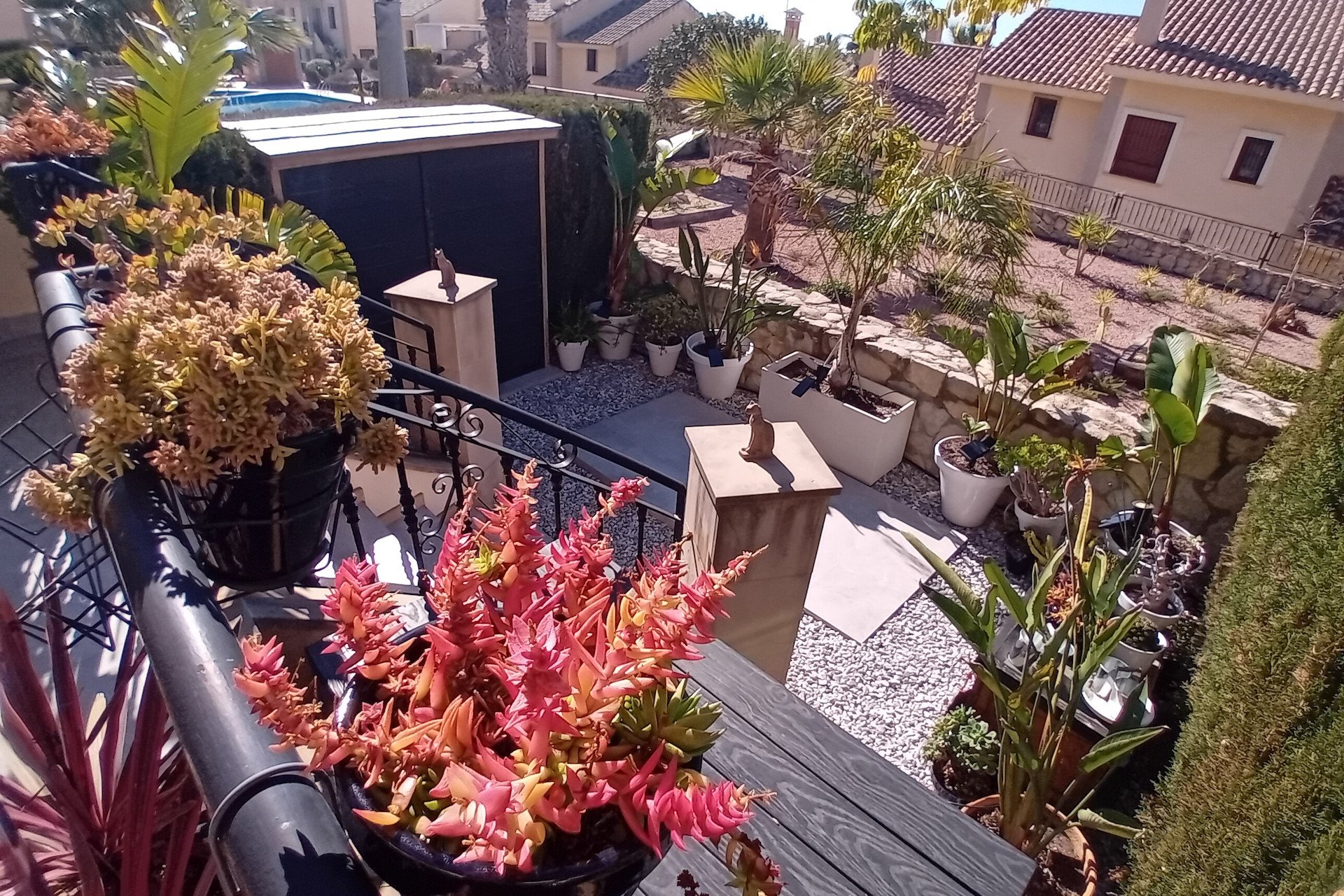 Revente - Maison mitoyenne - Algorfa - La Finca Golf