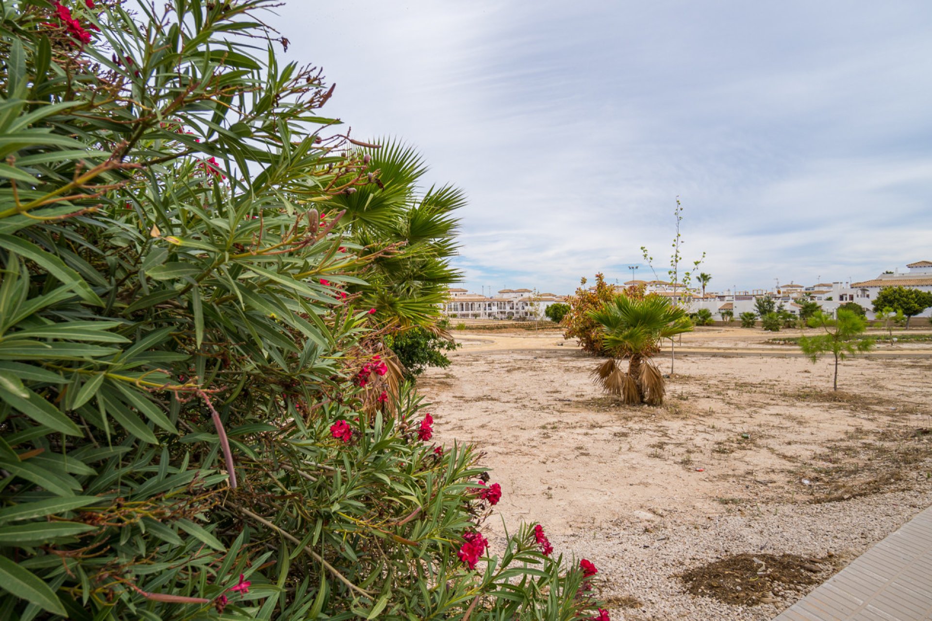 Revente - Maison mitoyenne - Los Altos