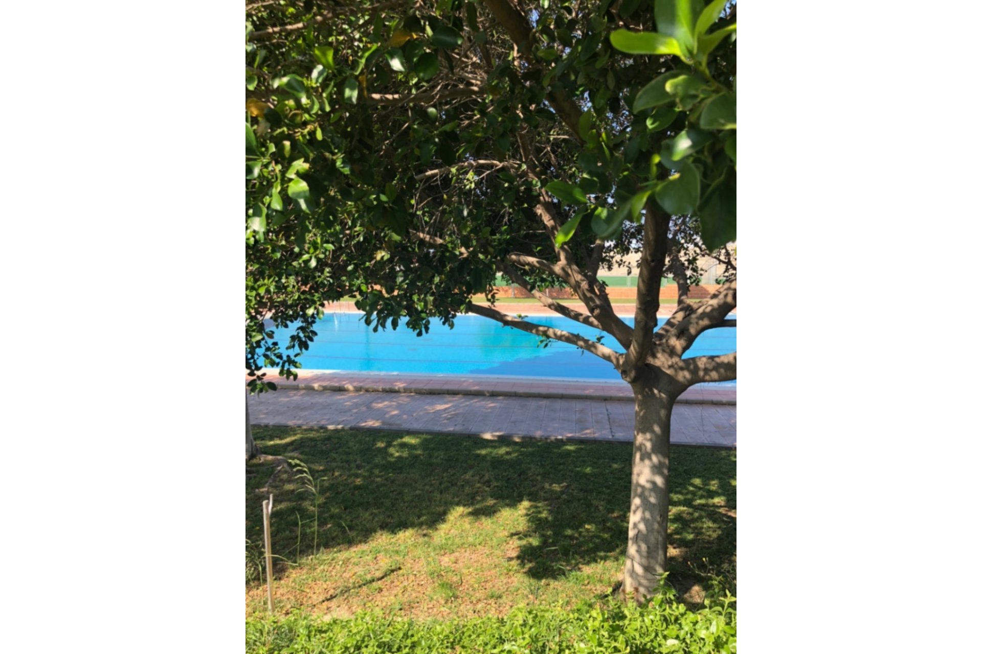 Revente - Maison mitoyenne - San Miguel de Salinas