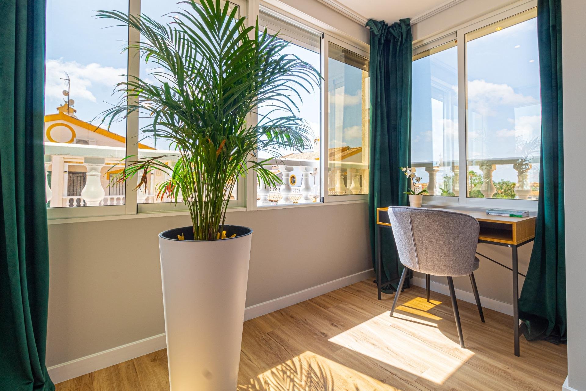 Revente - Maison mitoyenne - Torrevieja - Los Altos