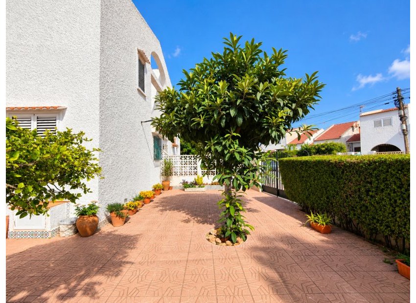 Revente - Maison mitoyenne - Torrevieja - Nueva Torrevieja