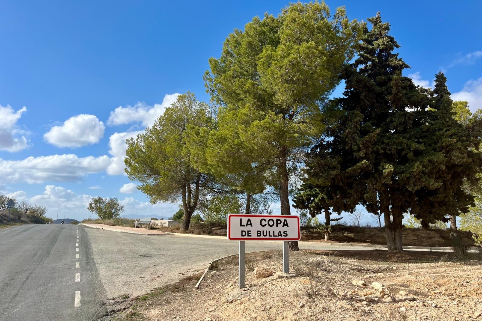 Revente - Parcelle - Bullas