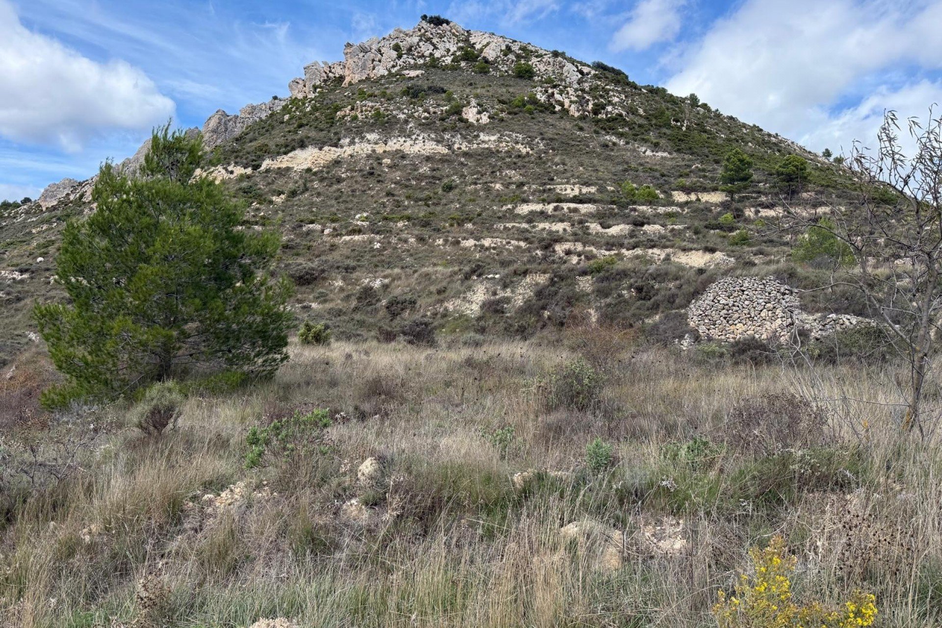 Revente - Parcelle - Confrides - Barranc de Xarquera