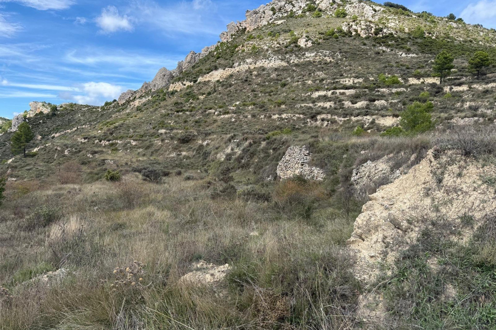 Revente - Parcelle - Confrides - Barranc de Xarquera