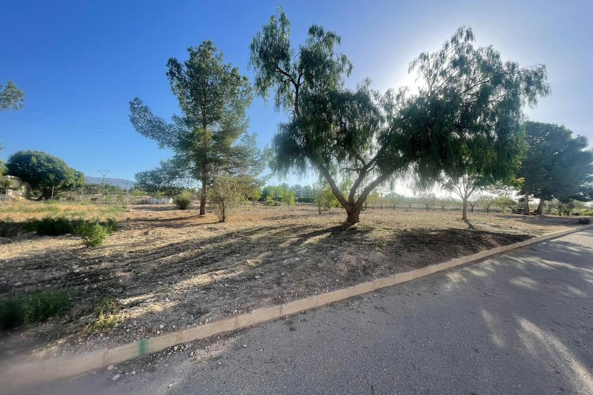 Revente - Parcelle - Pinoso