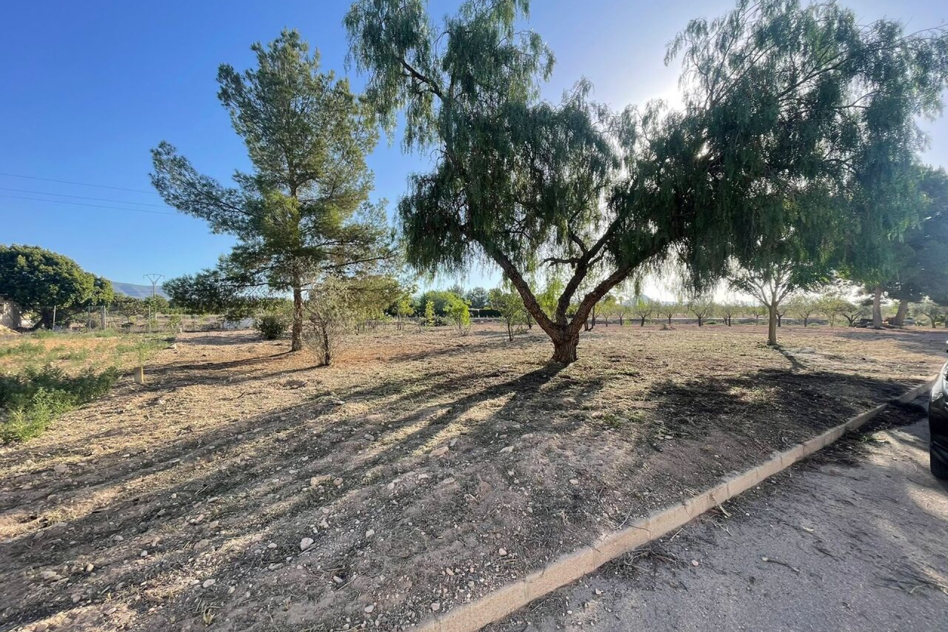 Revente - Parcelle - Pinoso