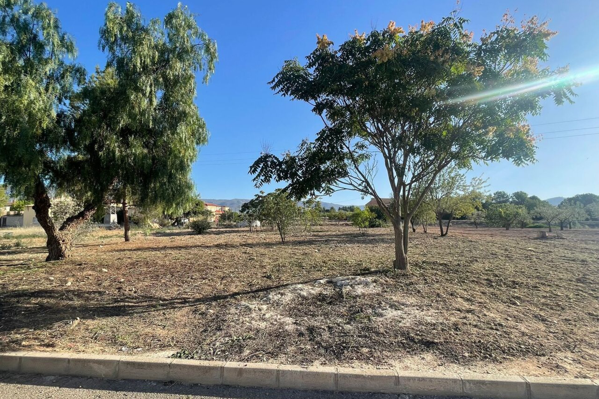 Revente - Parcelle - Pinoso