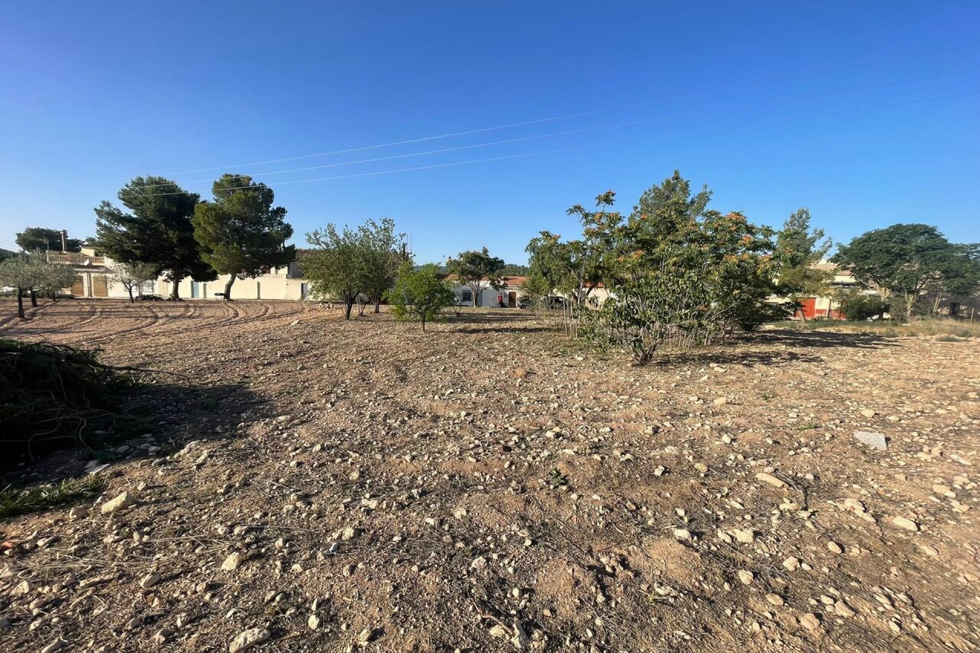 Revente - Parcelle - Pinoso