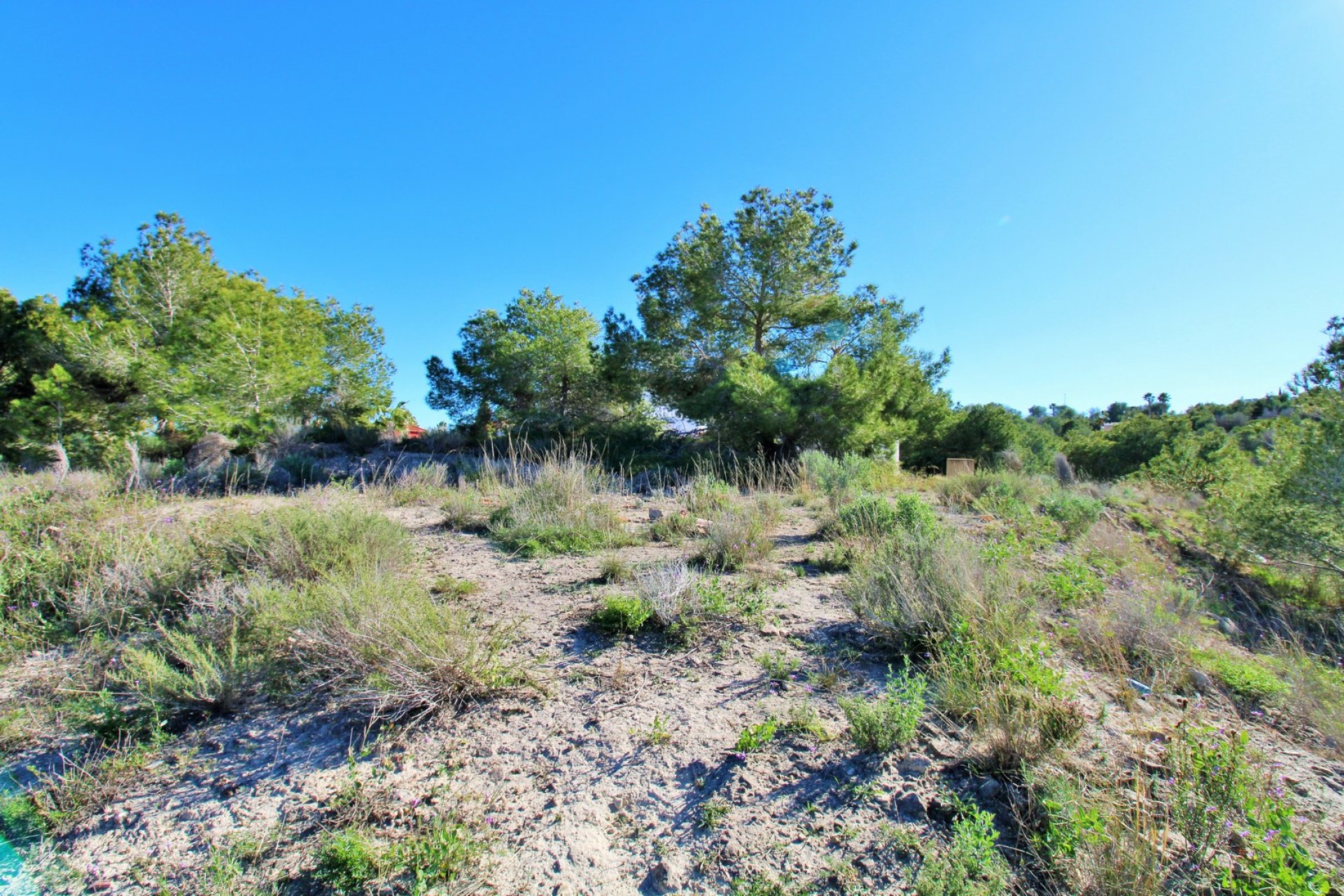 Revente - Parcelle - San Miguel de Salinas