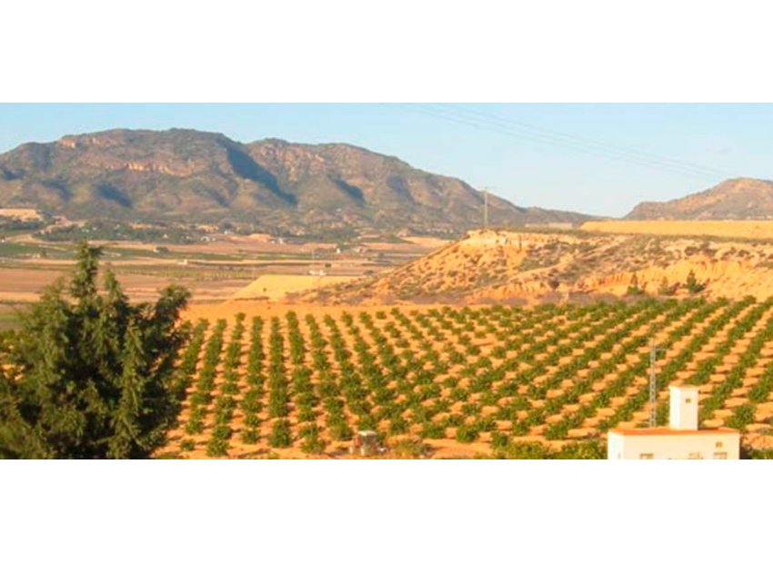 Revente - Parcelle - Torre Pacheco