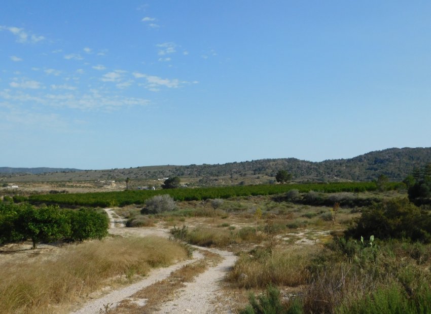 Revente - Parcelle - Torremendo