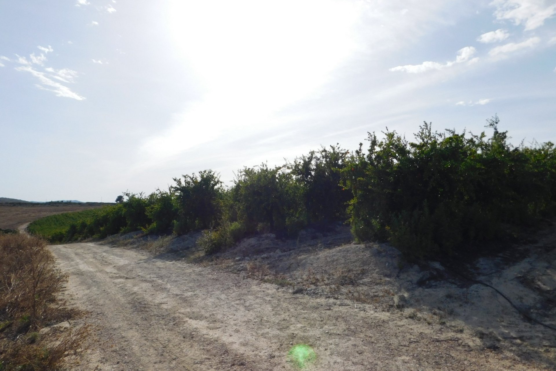 Revente - Parcelle - Torremendo