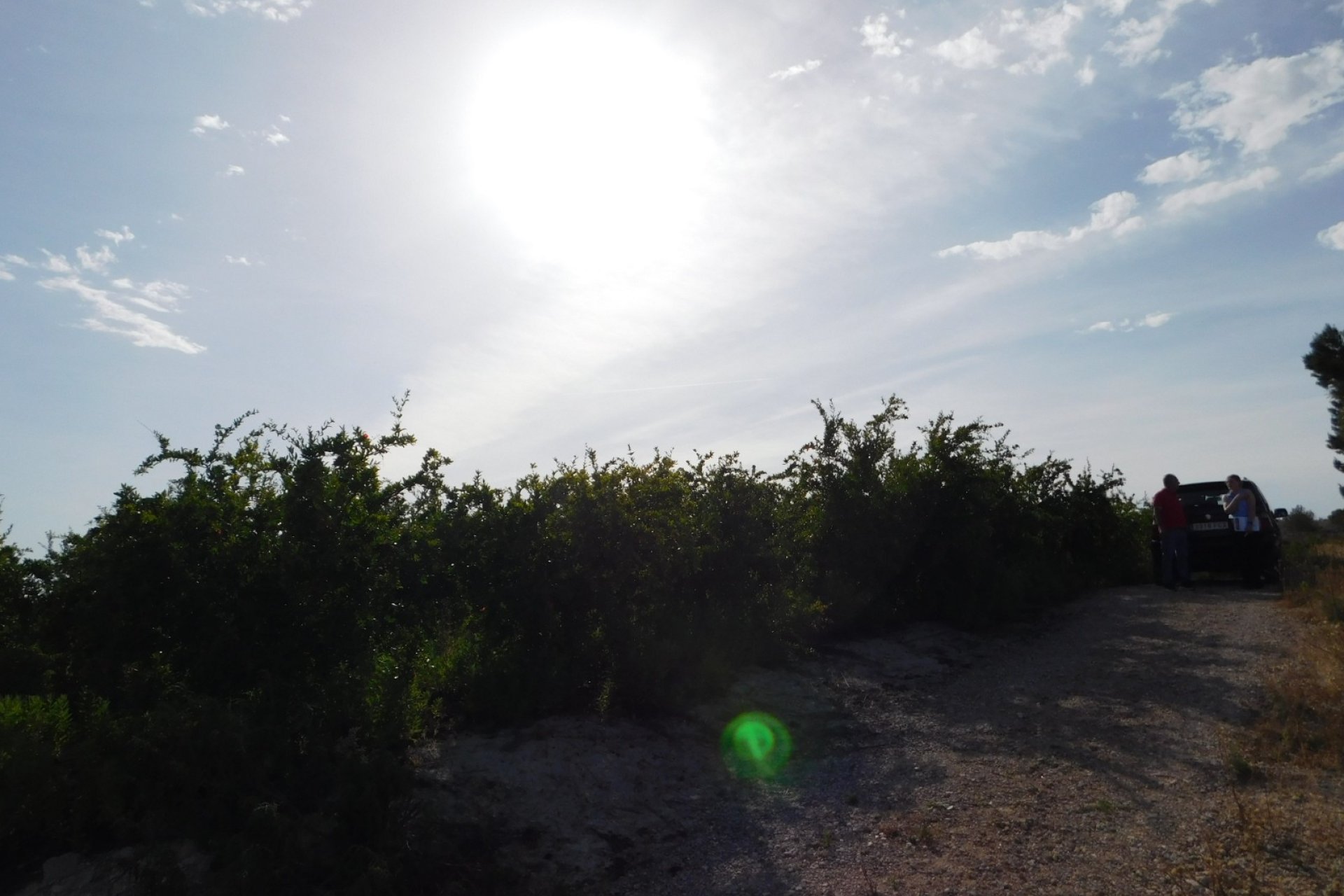 Revente - Parcelle - Torremendo