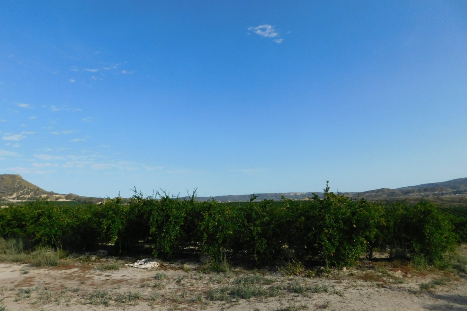 Revente - Parcelle - Torremendo