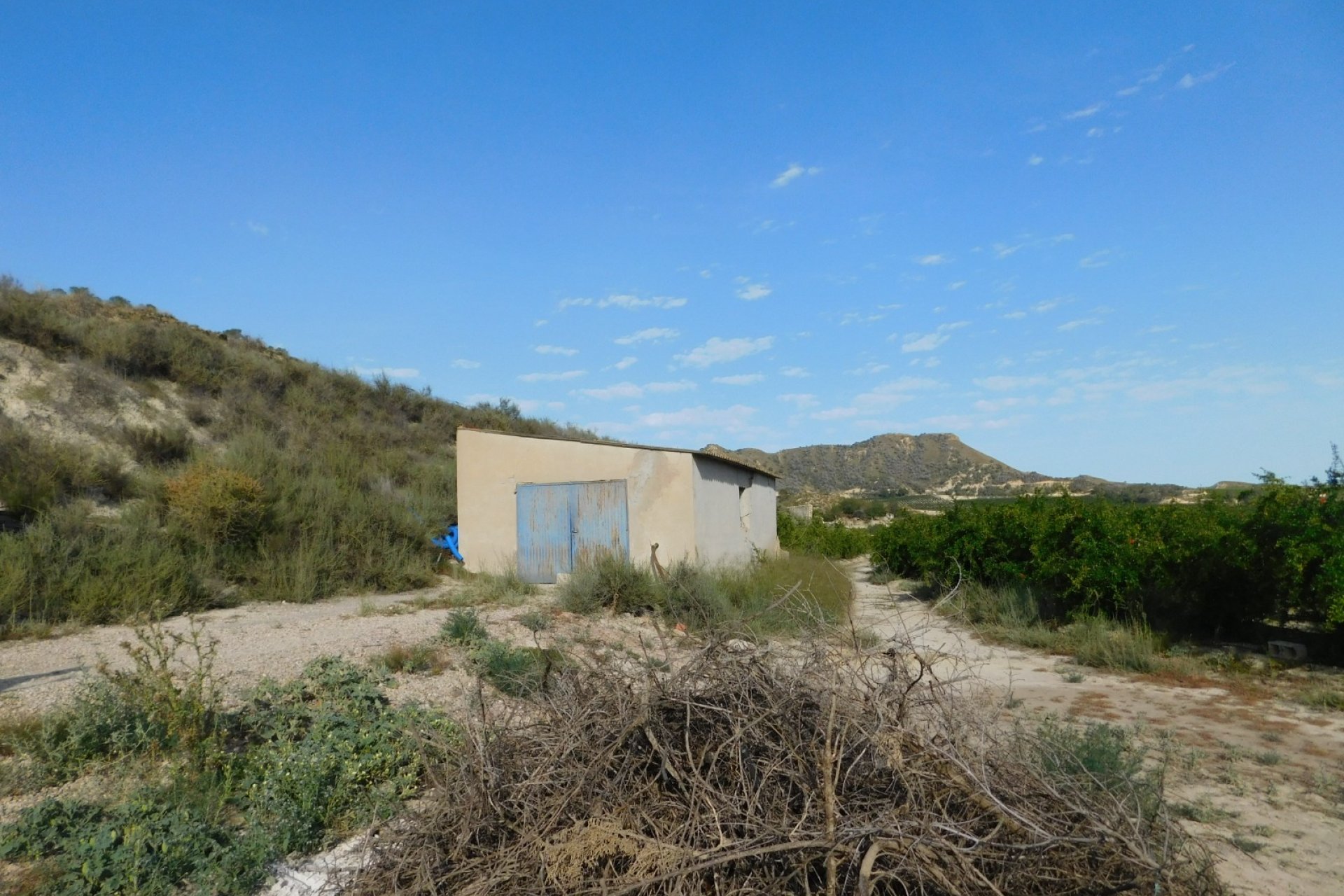 Revente - Parcelle - Torremendo