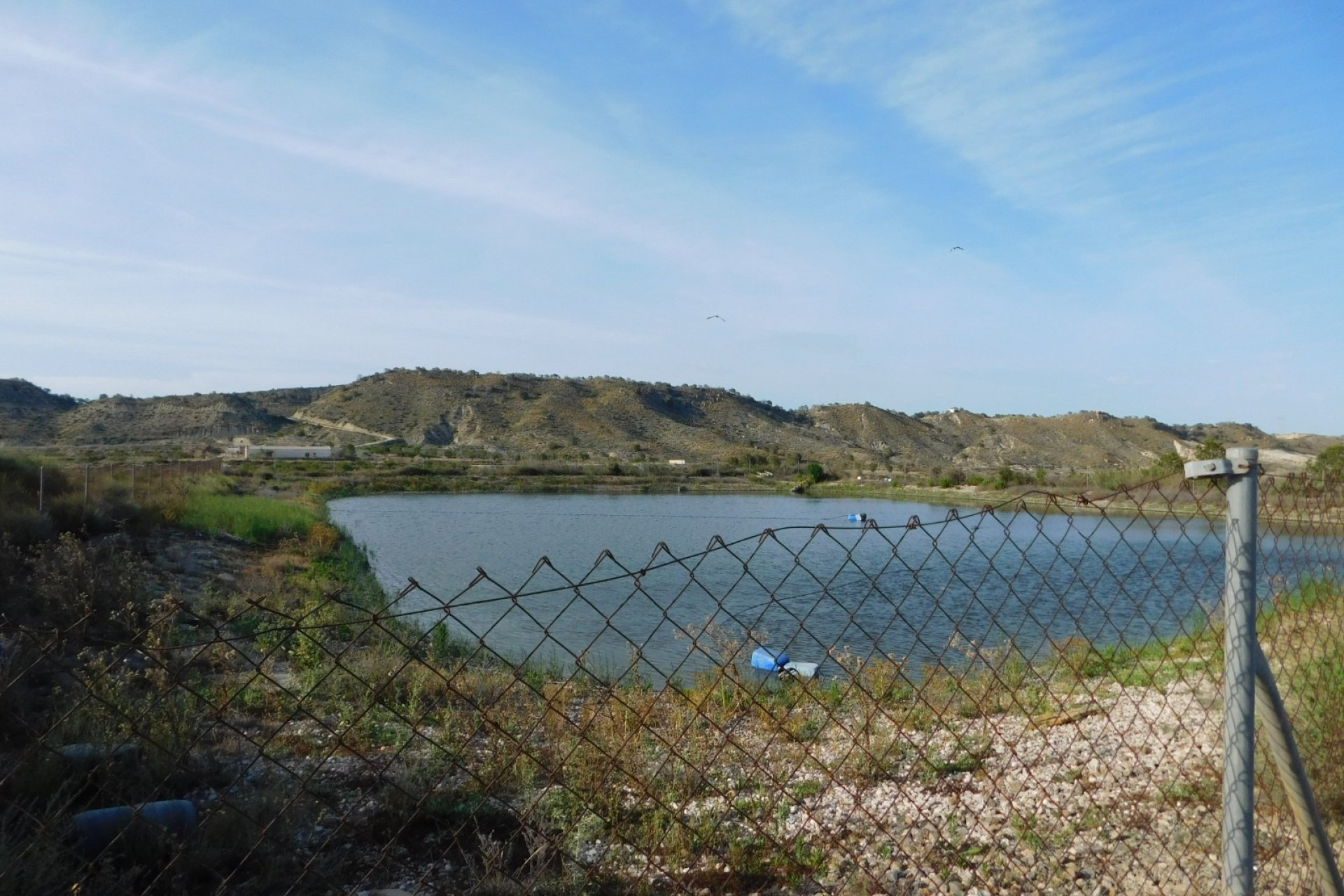 Revente - Parcelle - Torremendo