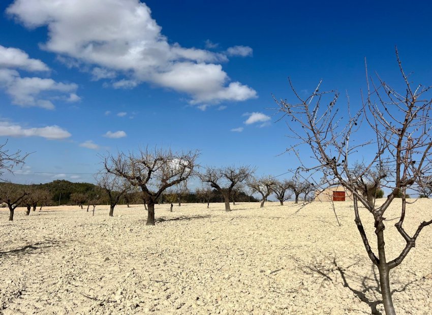 Revente - Plot - Bullas - Costa Calida