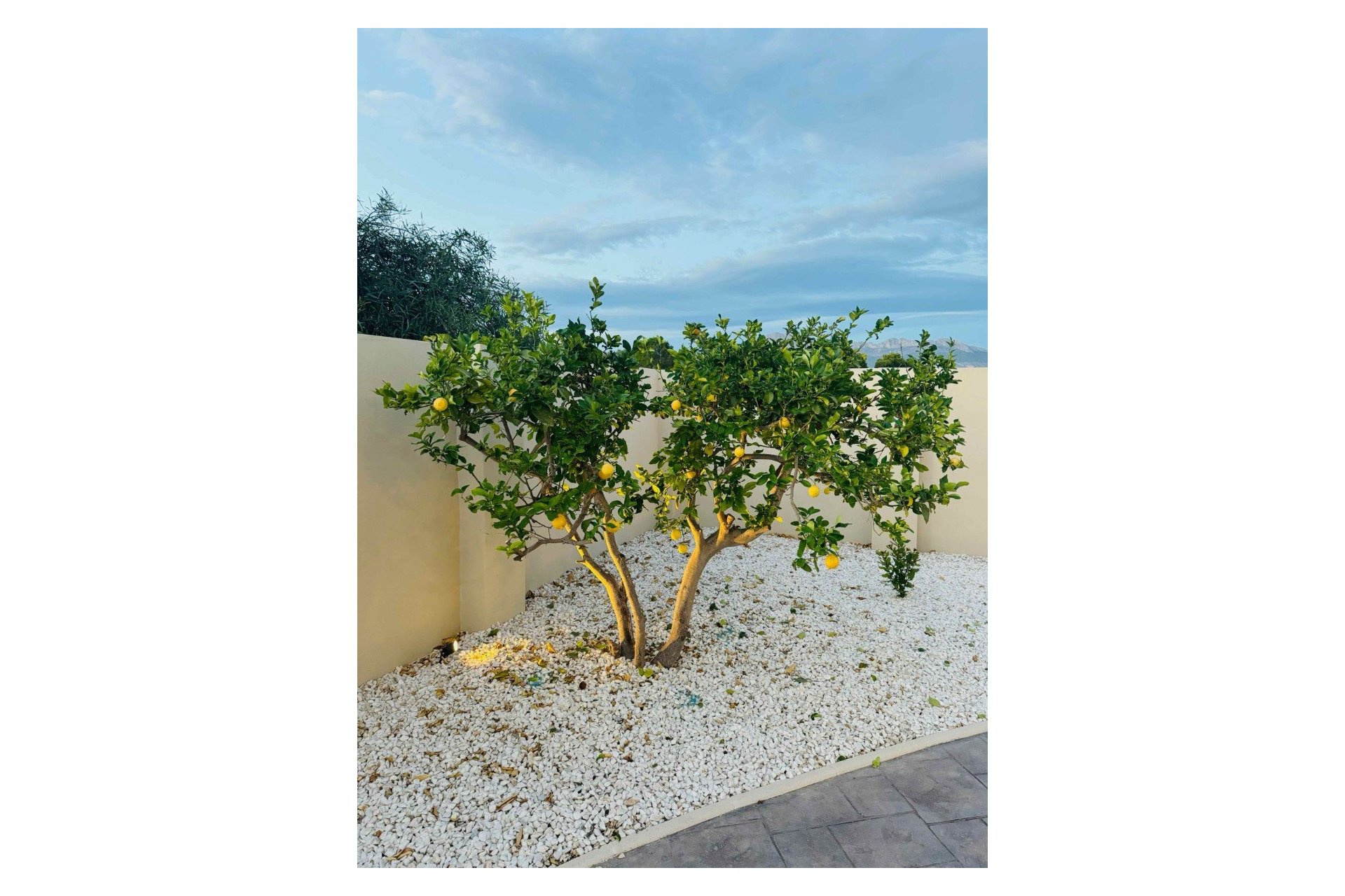 Revente - Villa - Alfas del Pí - pueblo