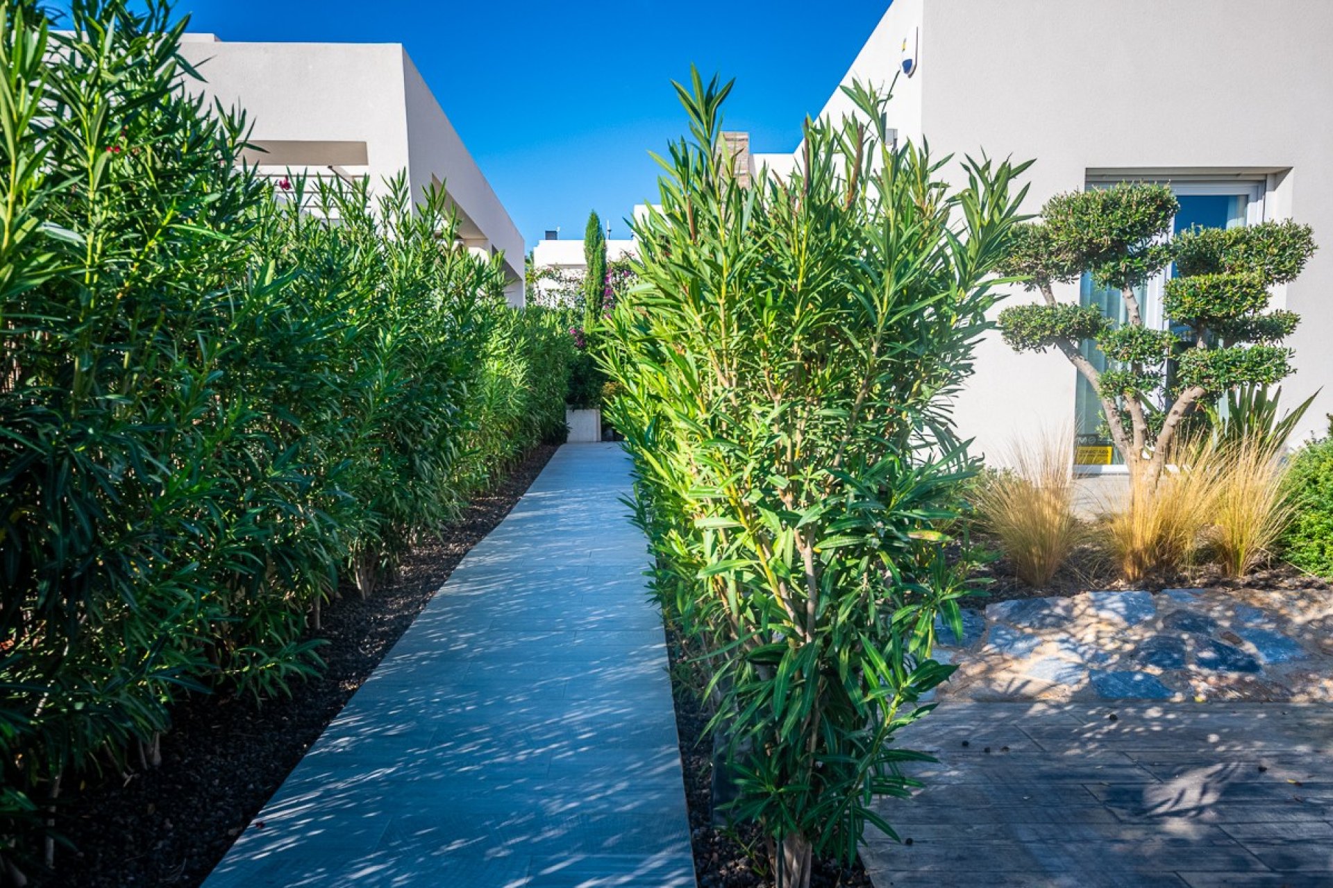 Revente - Villa - Algorfa - La Finca Golf