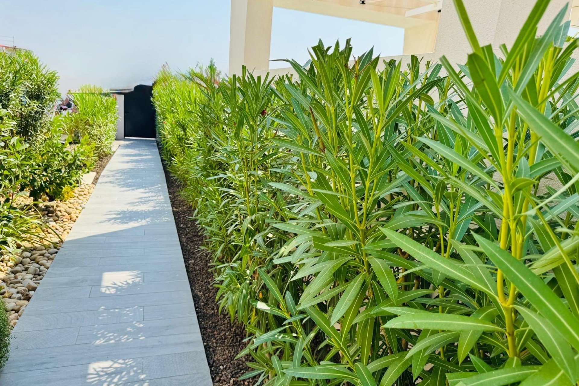 Revente - Villa - Algorfa - La Finca Golf