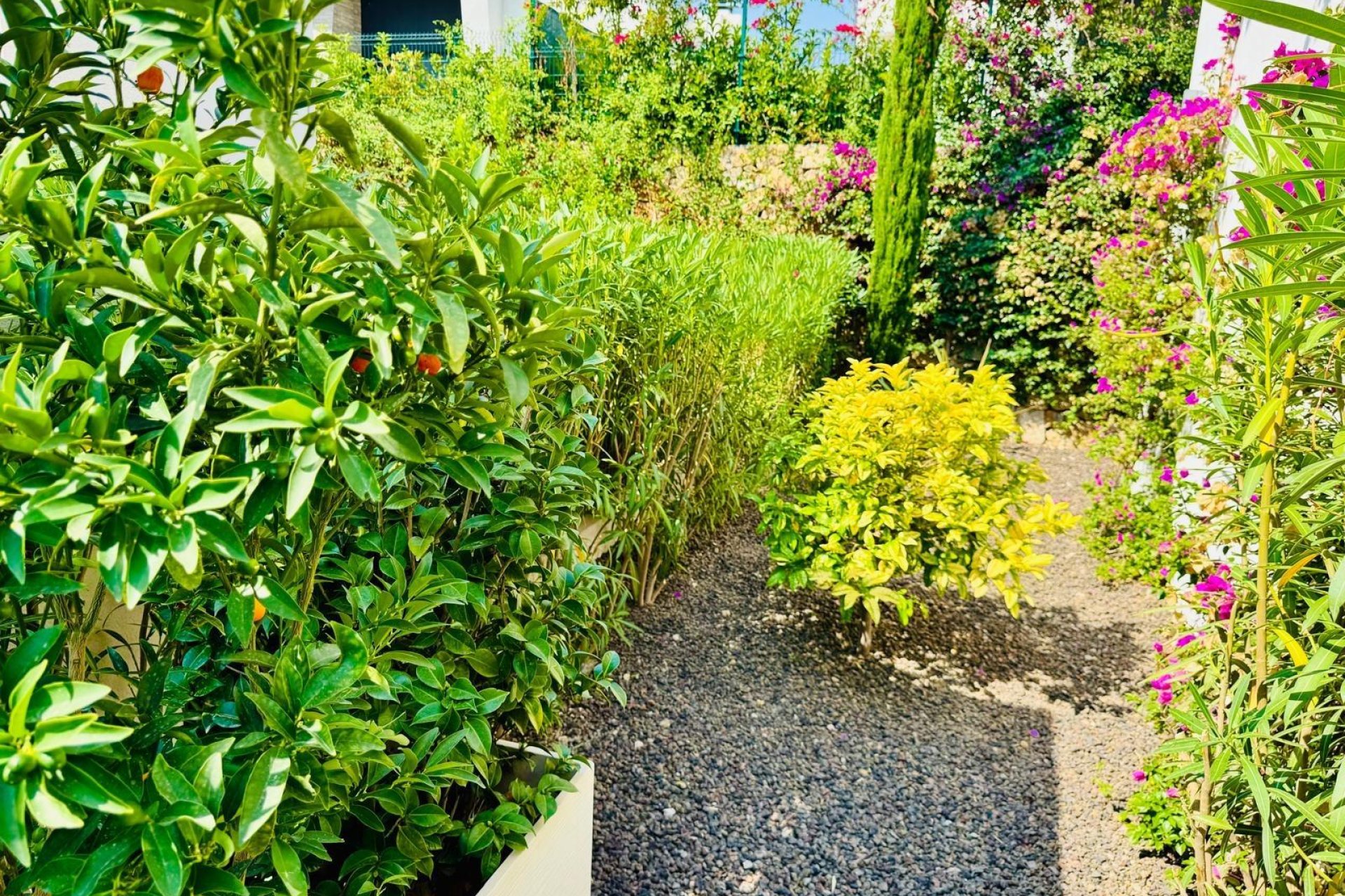 Revente - Villa - Algorfa - La Finca Golf