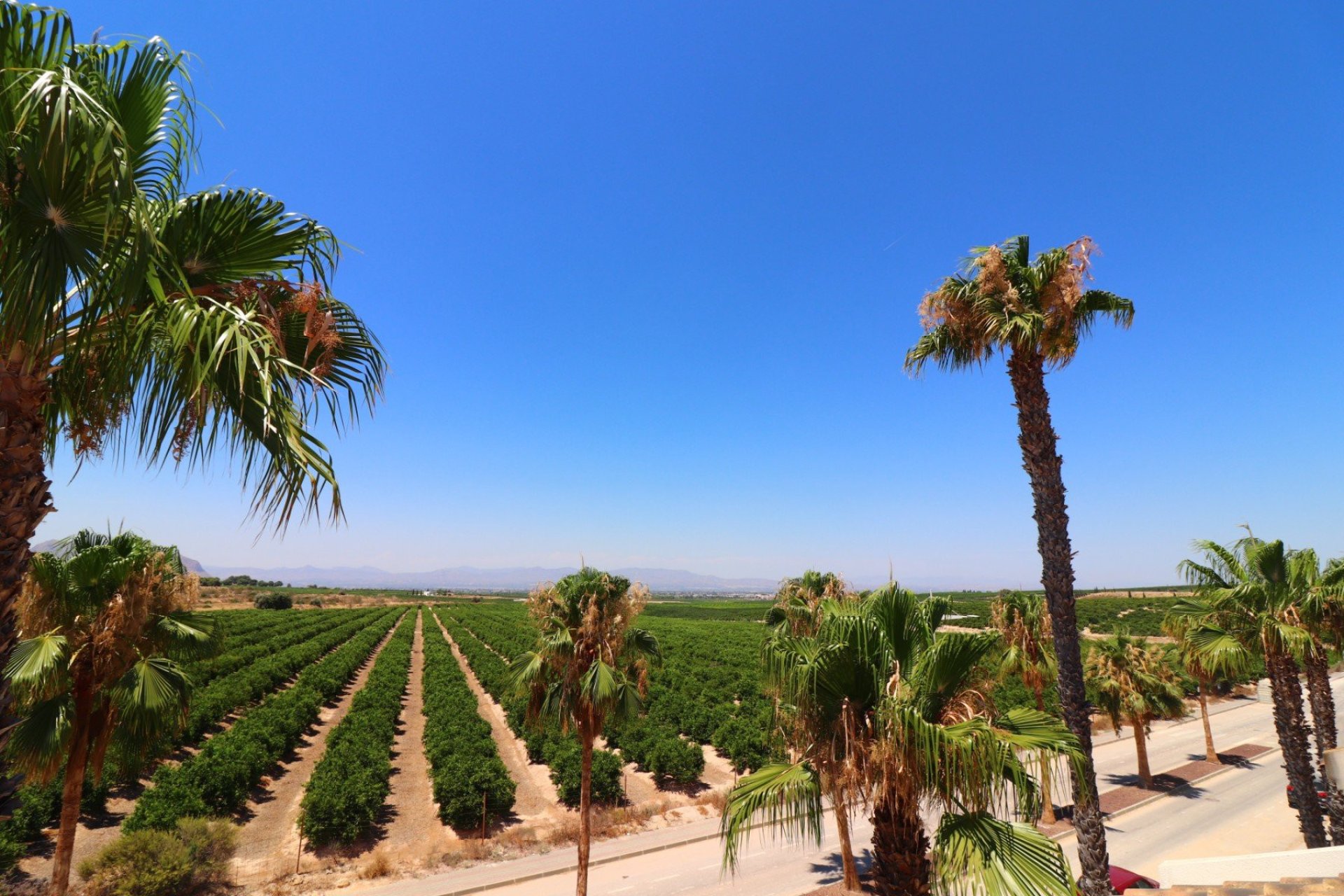 Revente - Villa - Algorfa - La Finca Golf