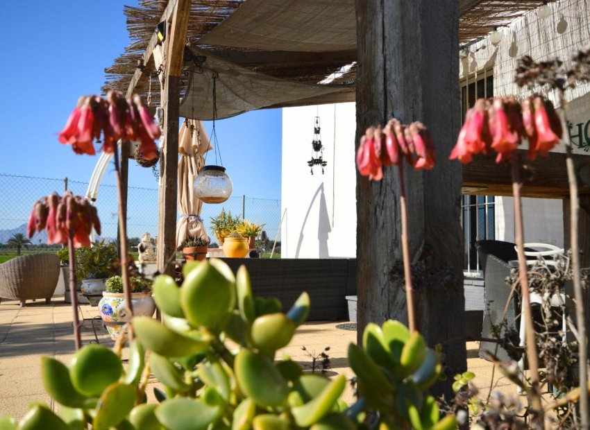 Revente - Villa - Catral