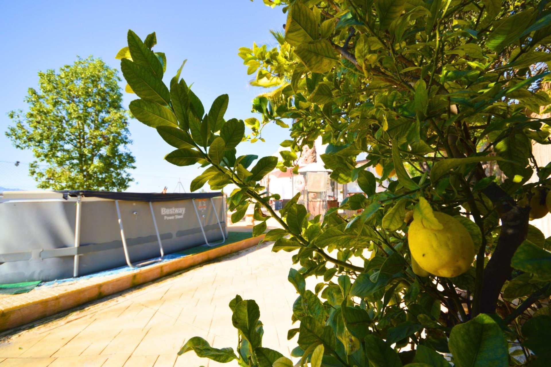 Revente - Villa - Catral