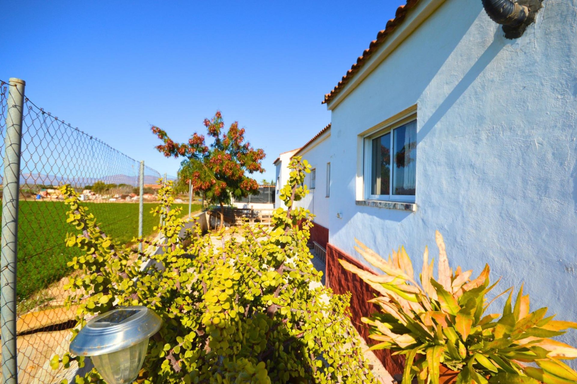 Revente - Villa - Catral