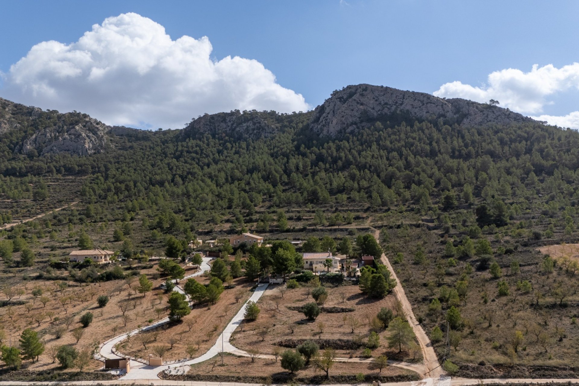 Revente - Villa - Detached - La Zarza