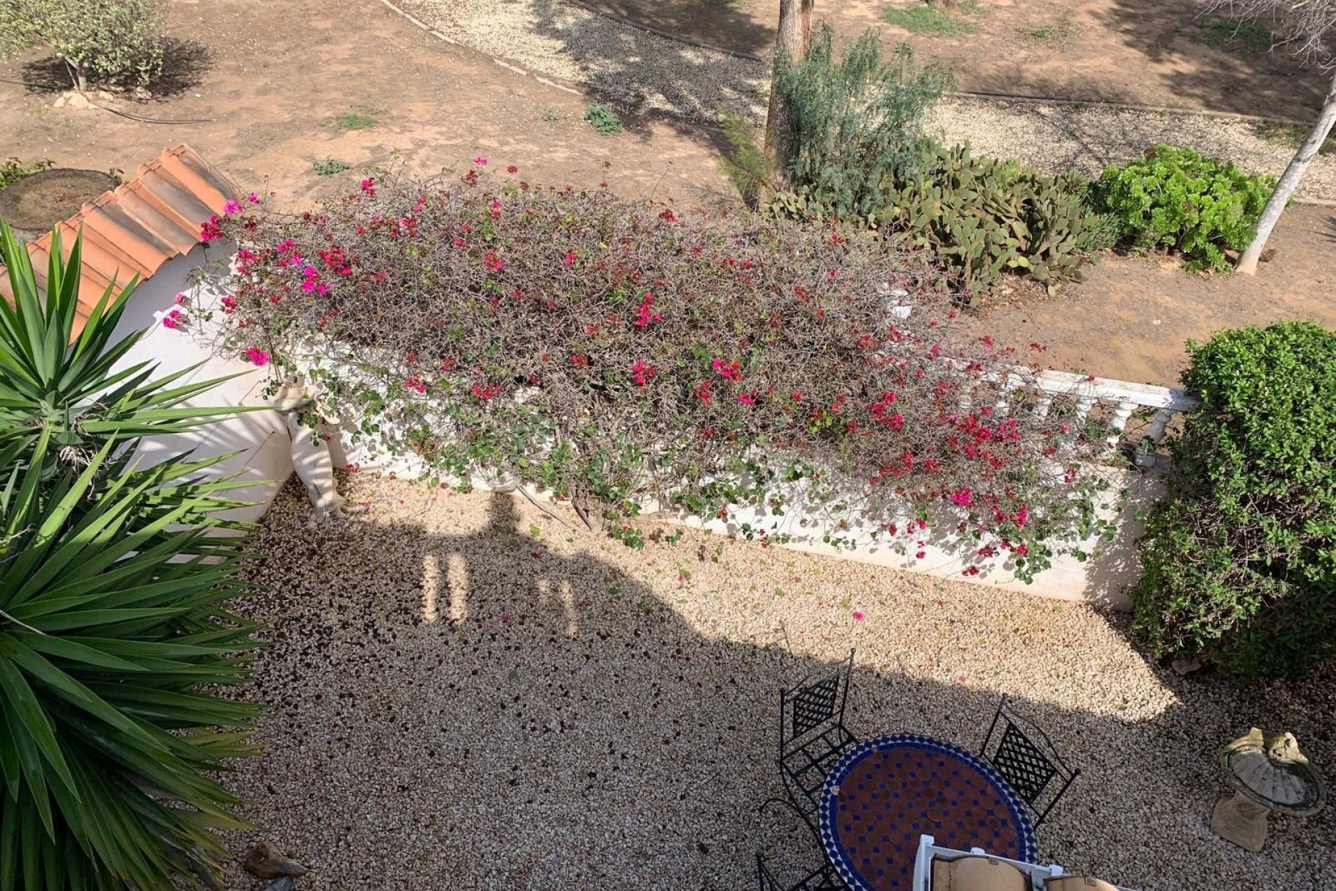 Revente - Villa - Guardamar del Segura - El Raso