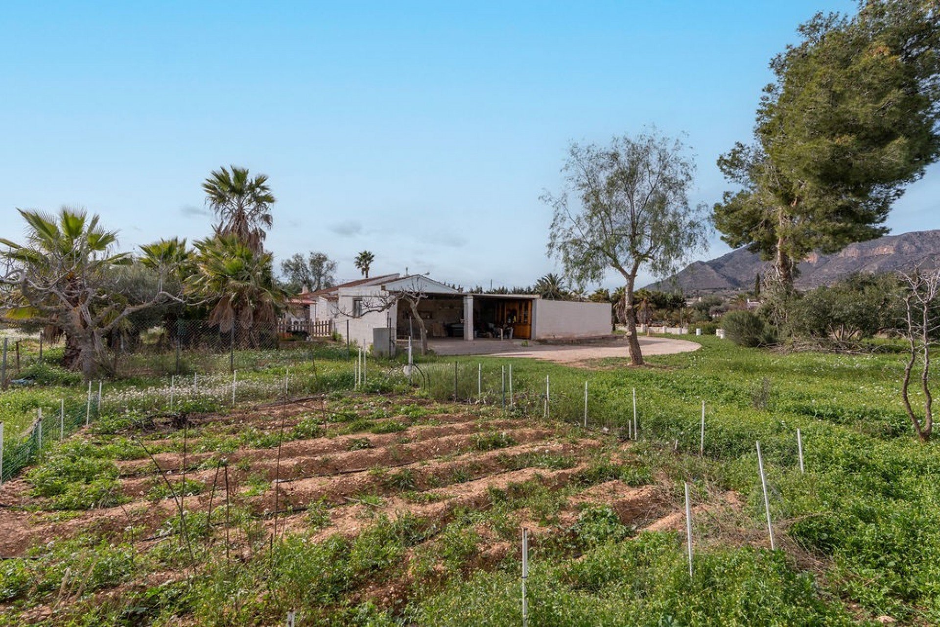 Revente - Villa - Hondón de las Nieves