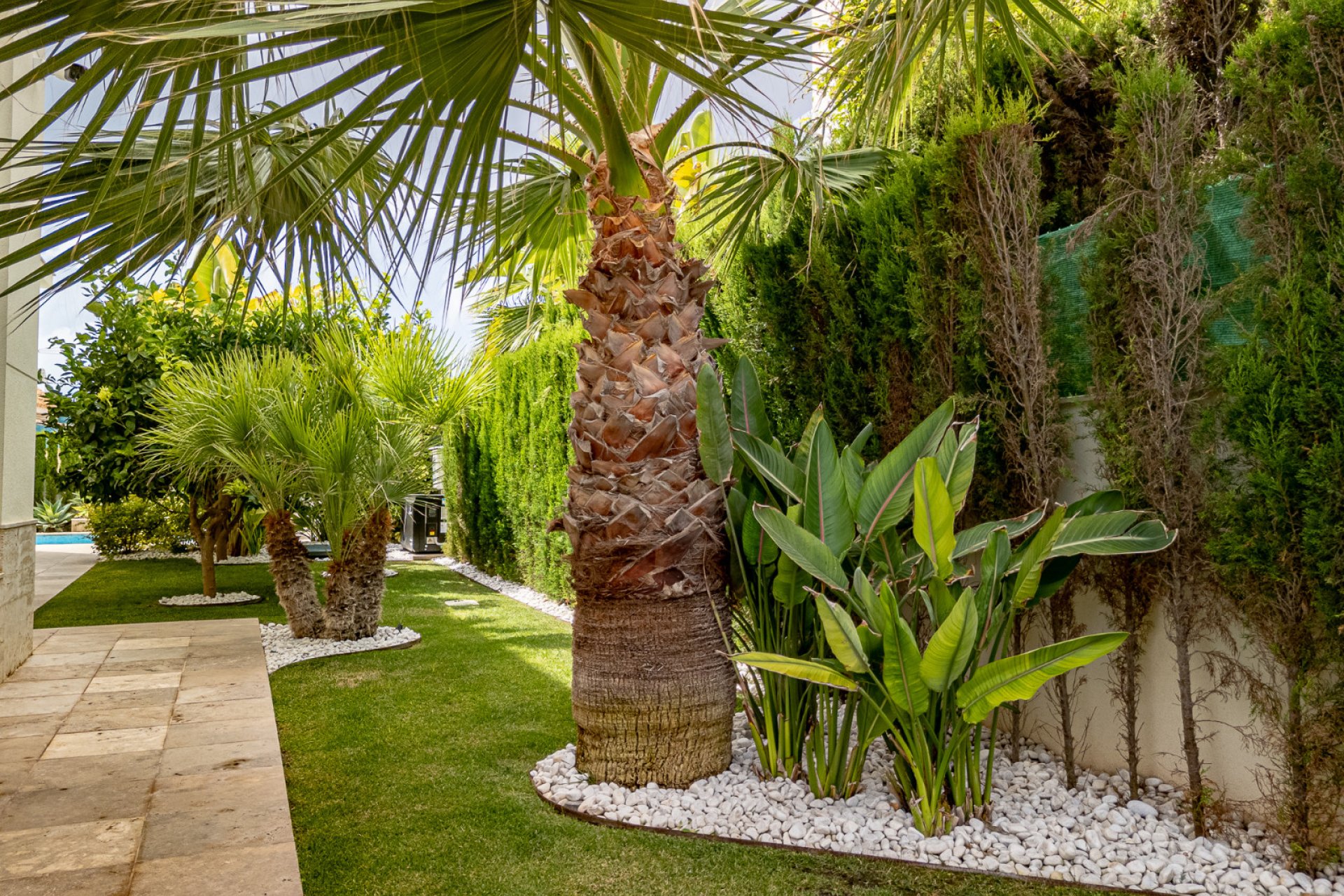 Revente - Villa - La Zenia