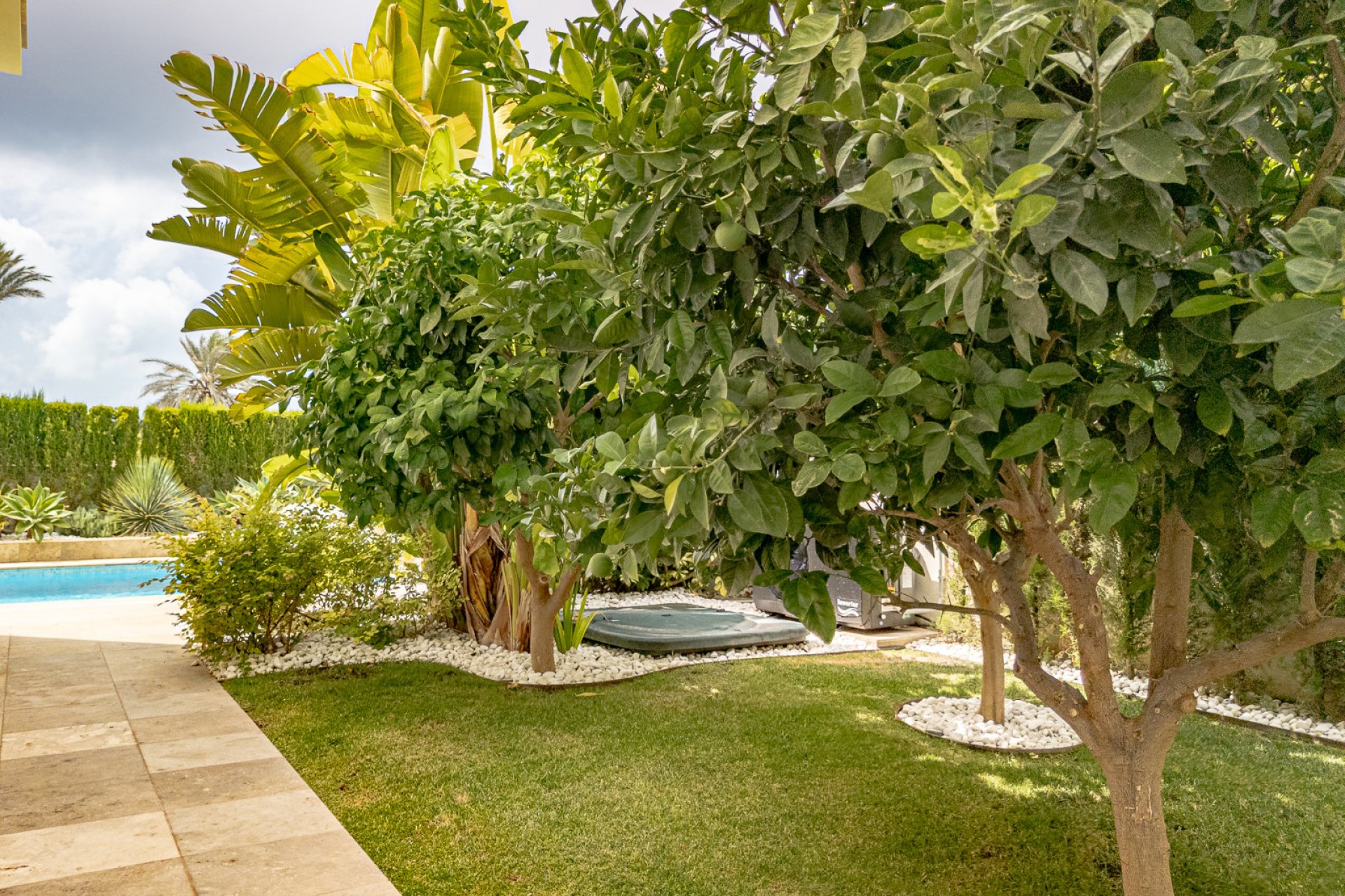 Revente - Villa - La Zenia