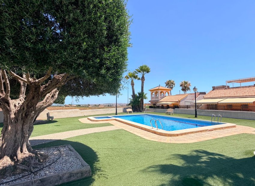 Revente - Villa - Los Montesinos - Urbanizacion montesol