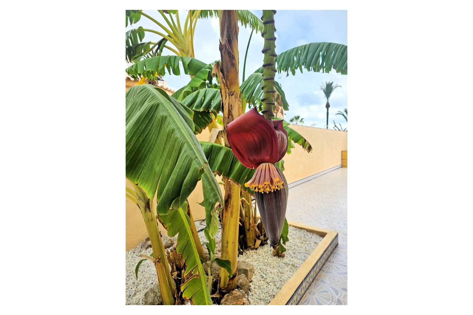 Revente - Villa - Los Urrutias