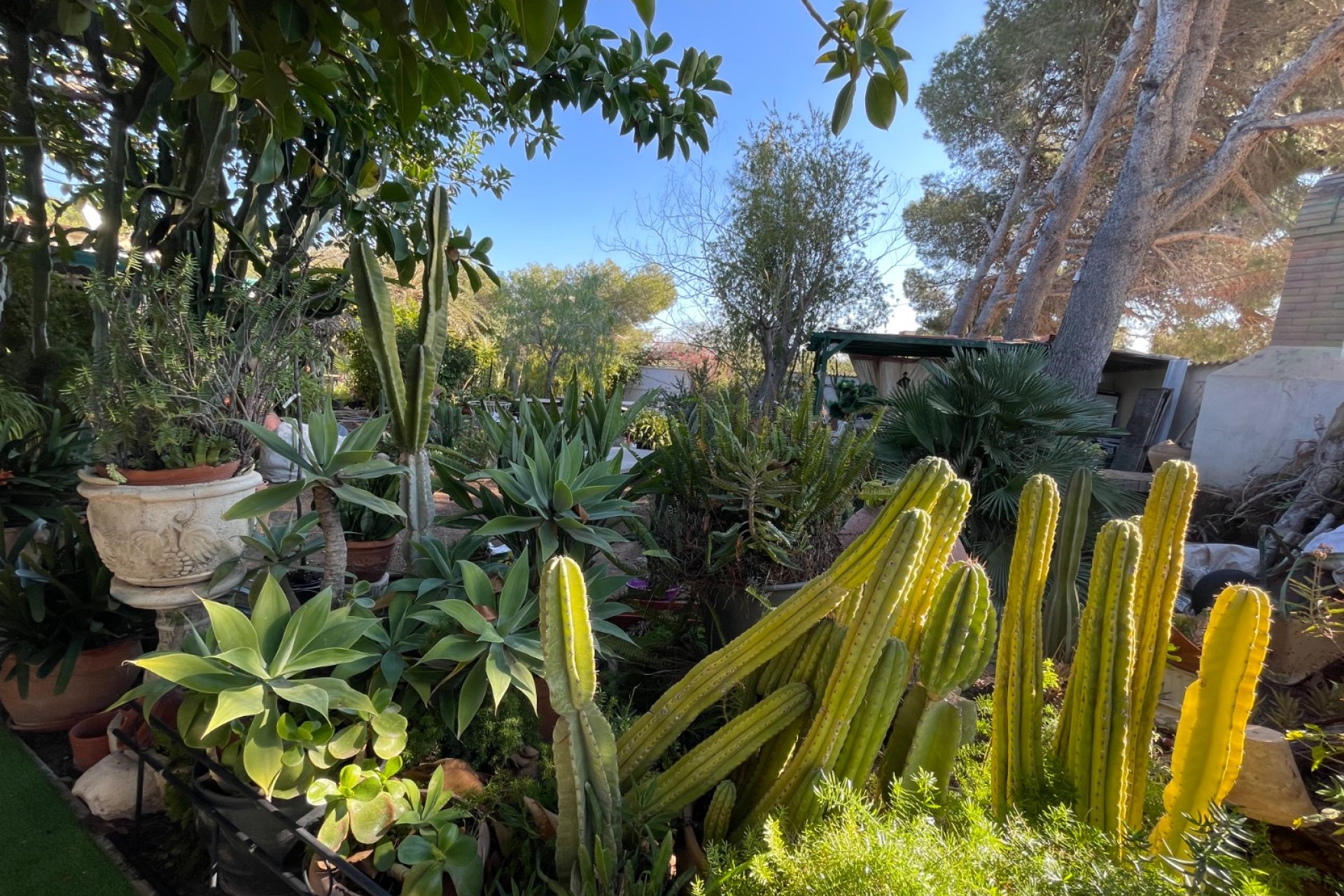 Revente - Villa - Orihuela Costa - Lomas de Cabo Roig