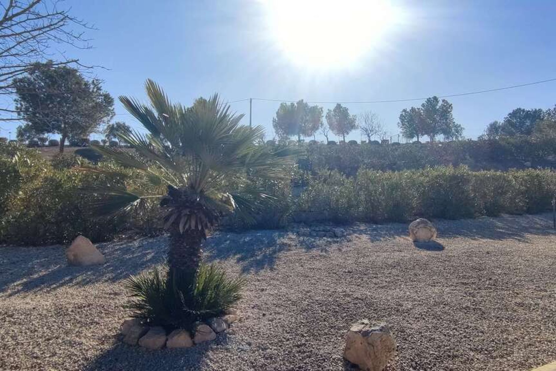 Revente - Villa - Pinoso