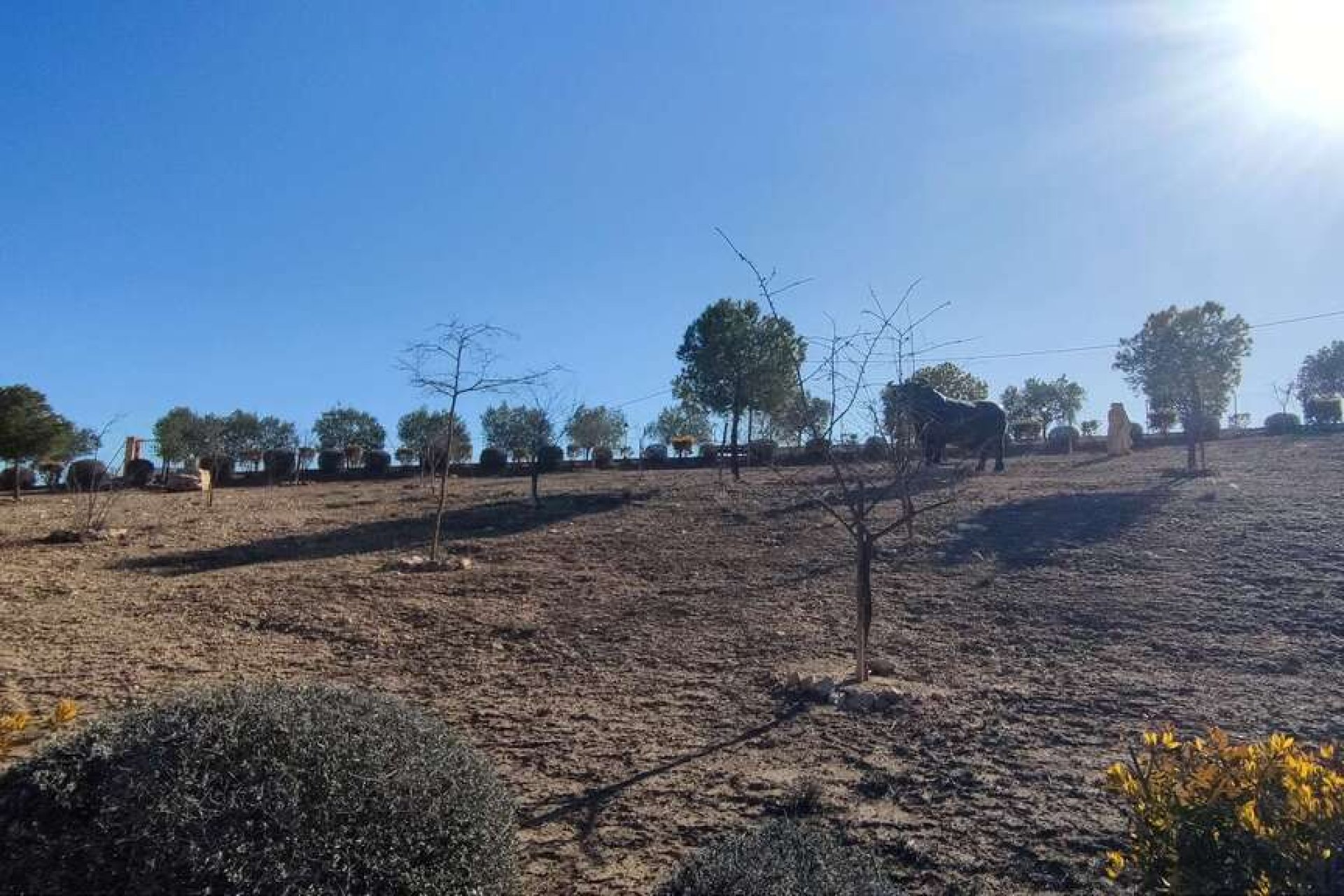 Revente - Villa - Pinoso