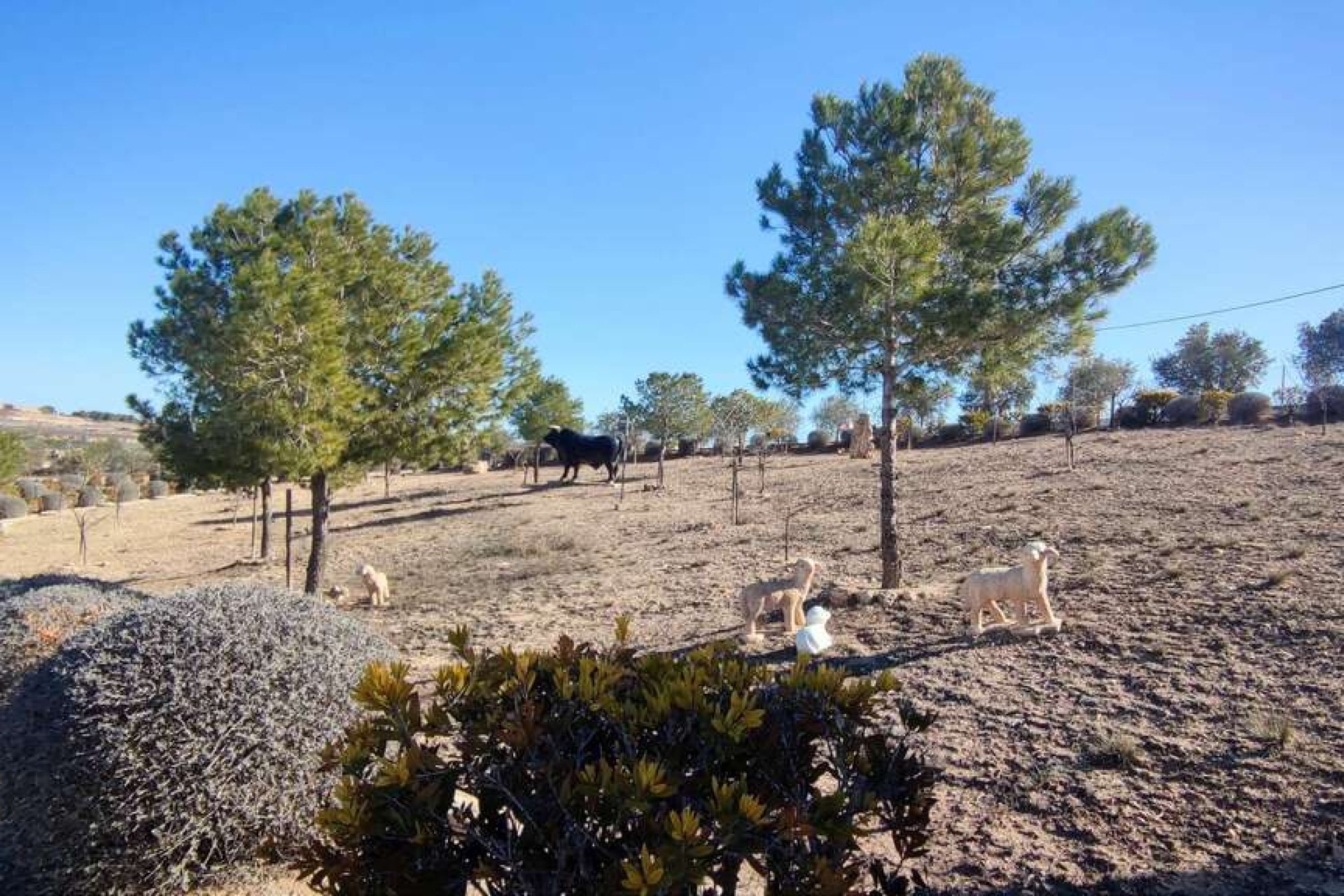 Revente - Villa - Pinoso