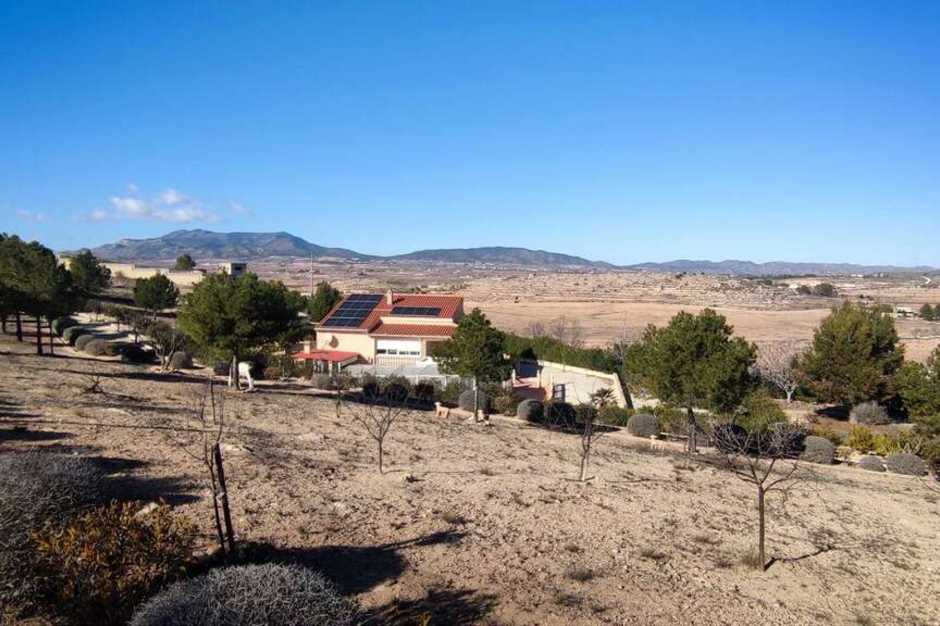 Revente - Villa - Pinoso